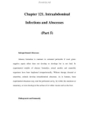 Chapter 121. Intraabdominal Infections and Abscesses (Part 5)