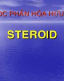 Bài giảng: STEROID