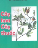 Cây hoa cây thuốc