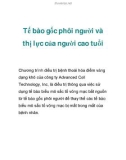 Tế bào gốc phôi người và thị lực của người cao tuổi