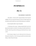 PEMPHIGUS (Kỳ 2)