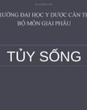 Bài giảng Tủy sống - ĐH Y dược Cần Thơ