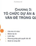 Bài giảng Quản lý dự án một nghề nghiệp mới - Chương 3: Tổ chức dự án và các vấn đề trong quản lý dự án