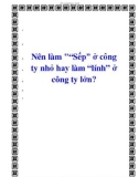 Nên làm ''Sếp' ở công ty nhỏ hay làm 'lính' ở công ty lớn?