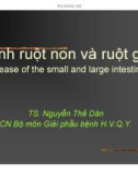 Bệnh ruột non và ruột già - TS. Nguyễn Thế Dân