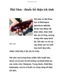 Hải Sâm - thuốc bổ thận ích tinh