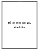 Bồ kết chữa cảm gió, cấm khẩu