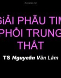 GiẢI PHẪU TIM PHỔI TRUNG THẤT