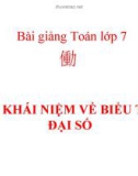 Bài giảng Đại số 7 chương 4 bài 1: Khái niệm về biểu thức đại số