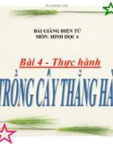 Bài giảng Hình học 6 chương 1 bài 4: Thực hành: Trồng cây thẳng hàng