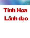 Tinh hoa lãnh đạo