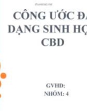 CÔNG ƯỚC ĐA DẠNG SINH HỌC CBD