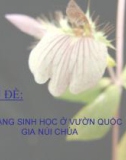 Chủ đề: Đa dạng sinh học ở vườn quốc gia núi Chúa