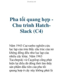 Pha tối quang hợp Chu trình HatchSlack (C4)