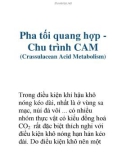 Pha tối quang hợp Chu trình CAM