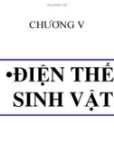 LÝ SINH ĐẠI CƯƠNG - CHƯƠNG V ĐIỆN THẾ SINH VẬT