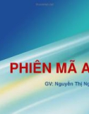 Bài giảng Sinh học phân tử: Phiên mã ARN - Nguyễn Thị Ngọc Yến