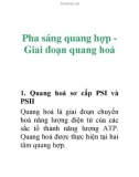 Pha sáng quang hợp Giai đoạn quang hoá