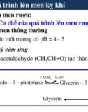 Chương cơ chế của quá trình lên men kỵ khí