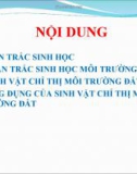 Quan trắc sinh học và chỉ thị môi trường đất