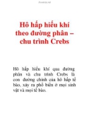 Hô hấp hiếu khí theo đường phân – chu trình Crebs