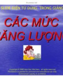 Các mức năng lượng