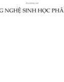 Công nghệ sinh học phân tử