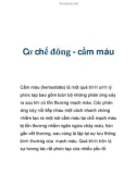 Cơ chế đông - cầm máu