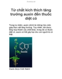 Từ chất kích thích tăng trưởng auxin đến thuốc diệt cỏ