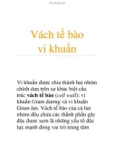 Vách tế bào