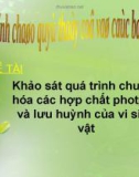 Bài thuyết trình Khảo sát quá trình chuyển hóa các hợp chất photpho và lưu huỳnh của vi sinh vật