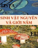 Protista - Giới sinh vật nguyên sinh và giới nấm