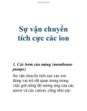 Sự vận chuyển tích cực các ion