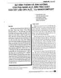 Sự hình thành và ảnh hưởng của pha Nano Al2O3 đến tính chất của vật liệu 20% Al2O3 - Cu Nanocompozit