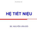 Bài giảng Hệ tiết niệu - BS. Nguyễn Văn Đối