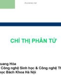 Bài giảng: Chỉ thị phân tử