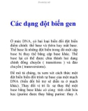 Tài liệu: Các dạng đột biến gen