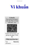 Vi khuẩn