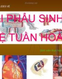 Bài thuyết trình Giải phẫu sinh lý hệ tuần hoàn