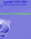 Nhân bản vô tính ở động vật