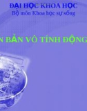 Nhân bản vô tính động vật