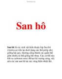 sinh học: San hô 