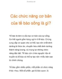 Các chức năng cơ bản của tế bào sống là gì?