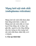 Mạng lưới nội sinh chất (endoplasma reticulum)