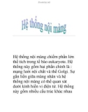 Hệ thống nội màng