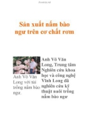 Sản xuất nấm bào ngư trên cơ chất rơm