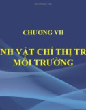 SINH VẬT CHỈ THỊ TRONG MÔI TRƯỜNG