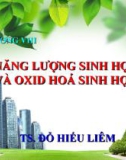 CHƯƠNG VIII: NĂNG LƯỢNG SINH HỌC VÀ OXID HOÁ SINH HỌC