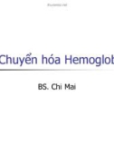 Bài giảng Chuyển hóa Hemoglobin - BS. Chi Mai