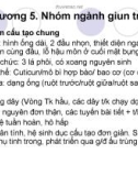 Giáo trình Sinh học - Ngành giun tròn